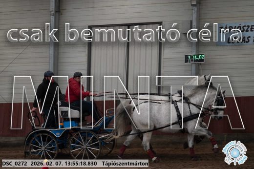 Mintakép 20260207-847
