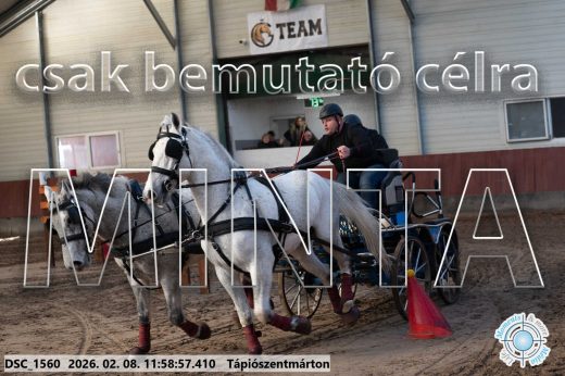 Mintakép 20260208-1460