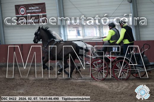 Mintakép 20260207-853