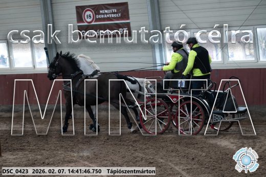 Mintakép 20260207-854