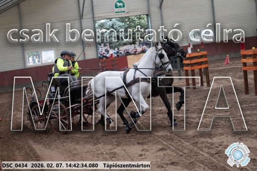Mintakép 20260207-863