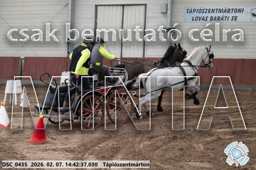 Mintakép 20260207-864