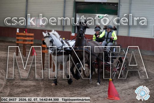 Mintakép 20260207-866