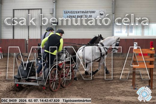 Mintakép 20260207-868