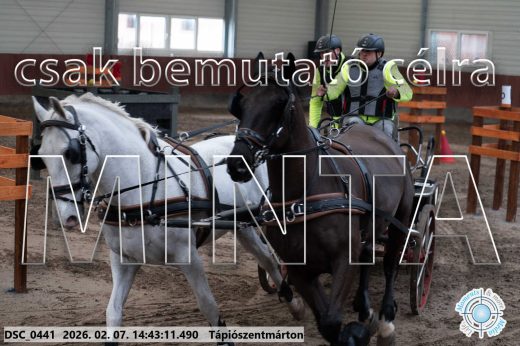 Mintakép 20260207-870