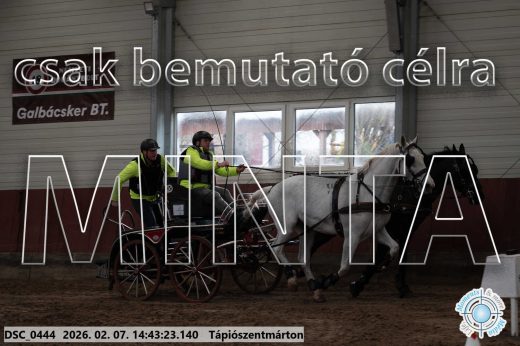 Mintakép 20260207-872