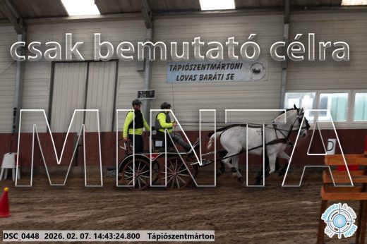Mintakép 20260207-874