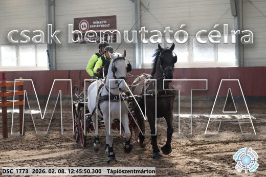 Mintakép 20260208-1462