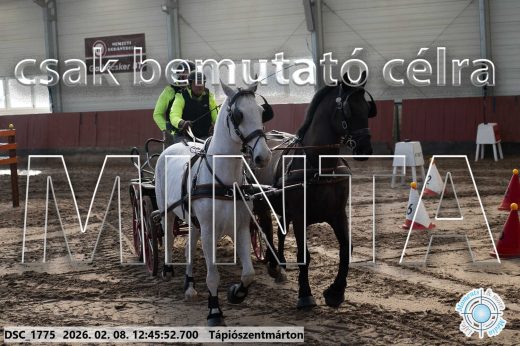 Mintakép 20260208-1463