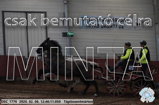 Mintakép 20260208-1464