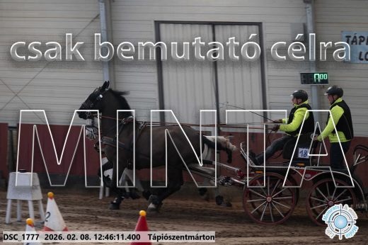 Mintakép 20260208-1465