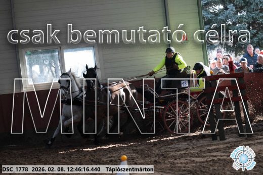 Mintakép 20260208-1466