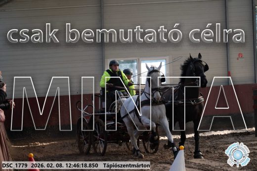 Mintakép 20260208-1467