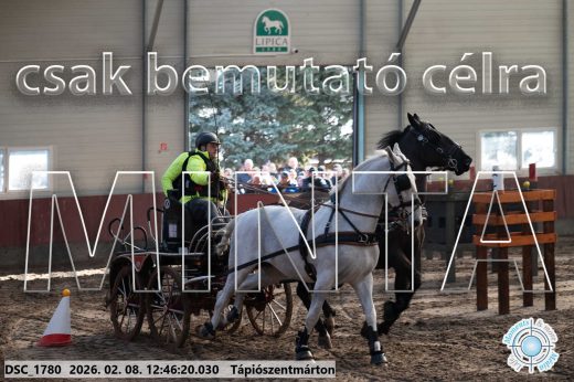 Mintakép 20260208-1468