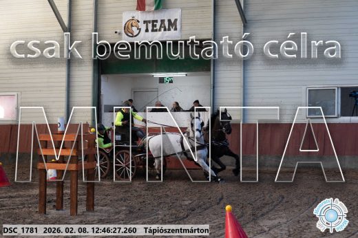 Mintakép 20260208-1469