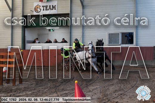 Mintakép 20260208-1470