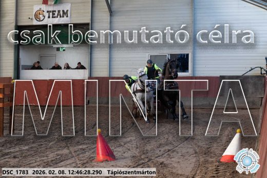 Mintakép 20260208-1471