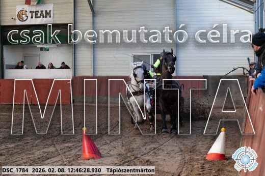 Mintakép 20260208-1472