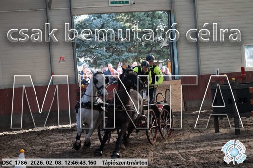 Mintakép 20260208-1473
