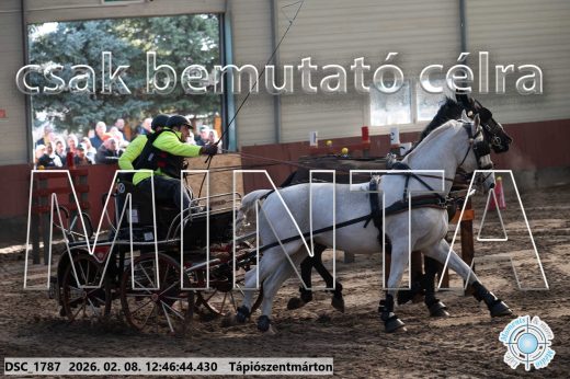 Mintakép 20260208-1474