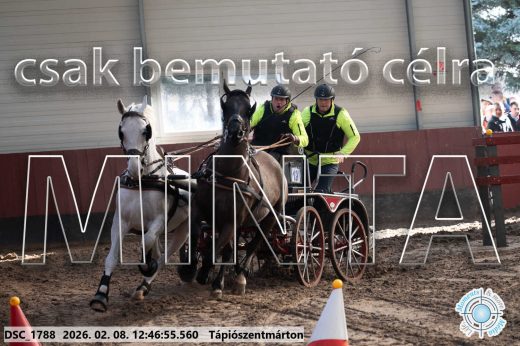 Mintakép 20260208-1475