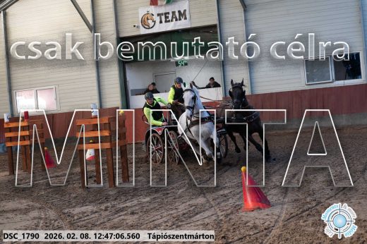 Mintakép 20260208-1477