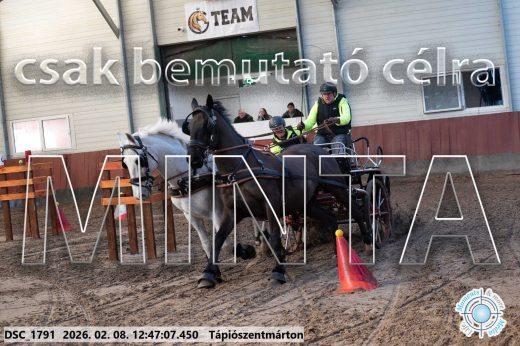 Mintakép 20260208-1478