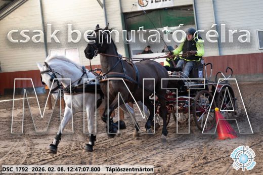 Mintakép 20260208-1479