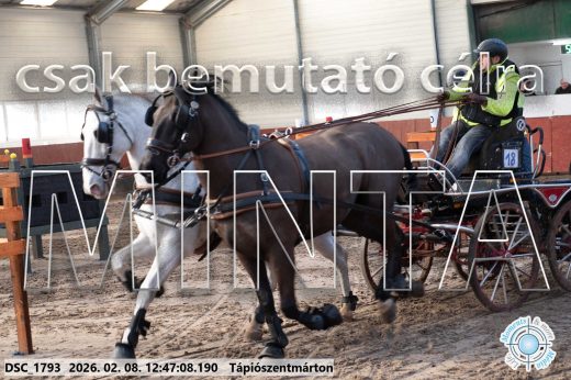Mintakép 20260208-1480