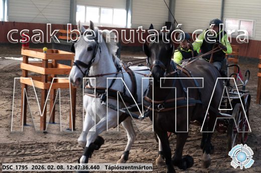 Mintakép 20260208-1482
