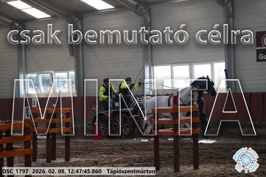 Mintakép 20260208-1483