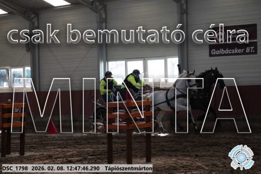 Mintakép 20260208-1484