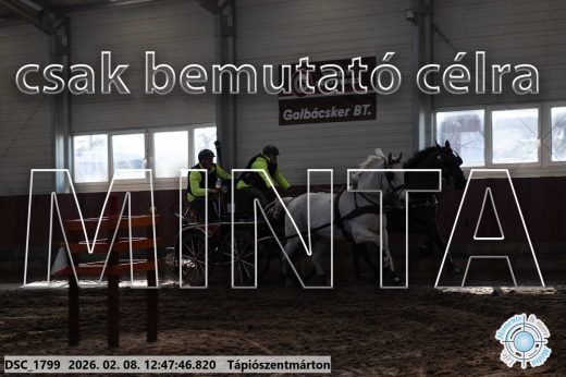 Mintakép 20260208-1485