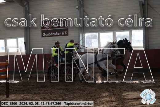 Mintakép 20260208-1486