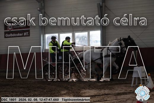 Mintakép 20260208-1487