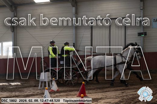 Mintakép 20260208-1488