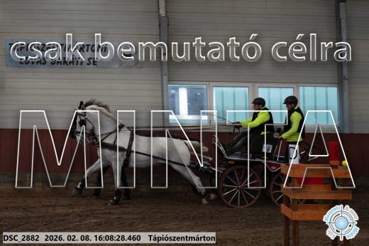 Mintakép 20260208-1490
