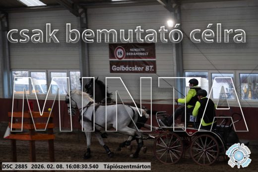 Mintakép 20260208-1493