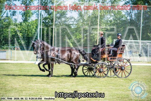 Mintakép 20260612-305