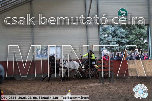 Mintakép 20260208-1494