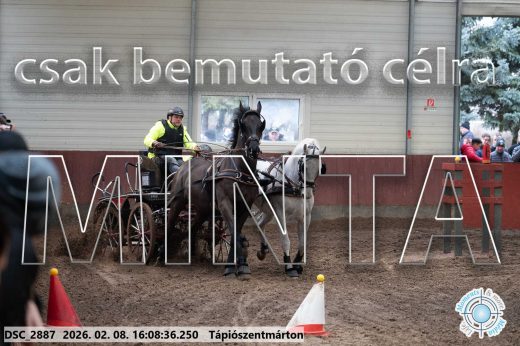 Mintakép 20260208-1495