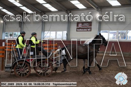 Mintakép 20260208-1497
