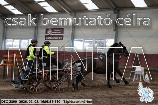 Mintakép 20260208-1498