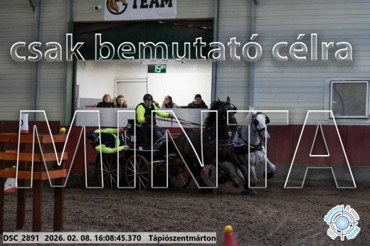 Mintakép 20260208-1499