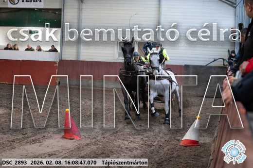 Mintakép 20260208-1501