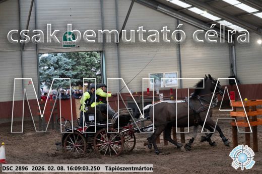Mintakép 20260208-1504