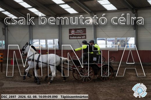 Mintakép 20260208-1505
