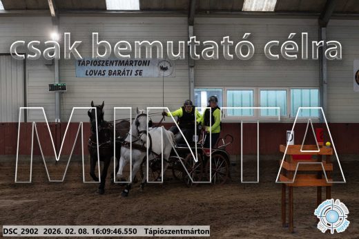 Mintakép 20260208-1510