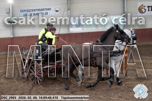 Mintakép 20260208-1511