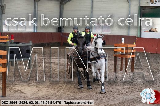 Mintakép 20260208-1512